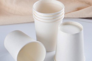 Các mẫu ly giấy thường dùng tại văn phòng