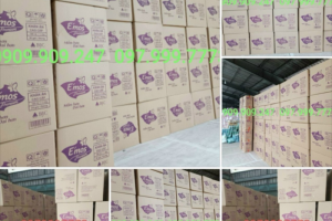 Để thiết kế và in ấn túi nylon nhanh chóng cần những thông tin gì?