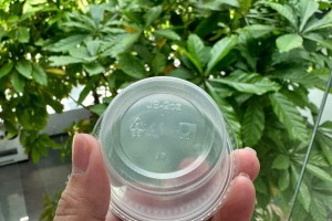 Gợi Ý Cho Bạn Cơ Sở Phân Phối Các Loại Hủ Nhựa Uy Tín 