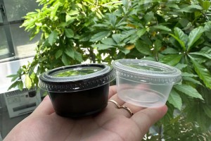 Mách Bạn Cơ Sở Bán Sỉ Lẻ Hủ Bánh Flan TPHCM Uy Tín