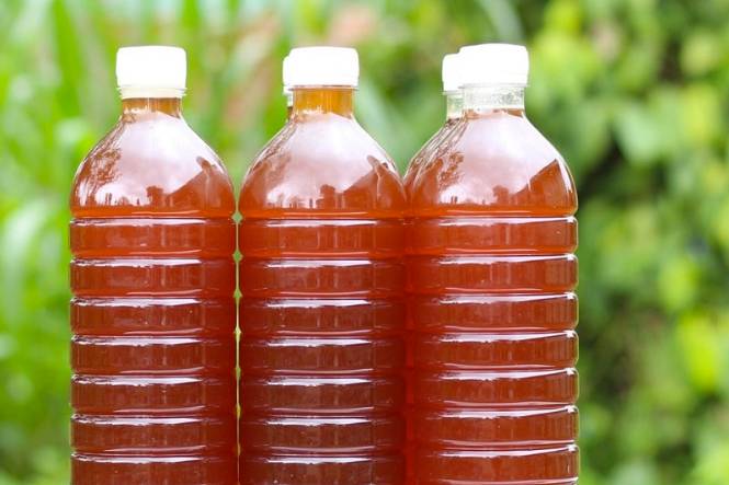Có Nên Đựng Mật Ong Trong Chai Nhựa Không?