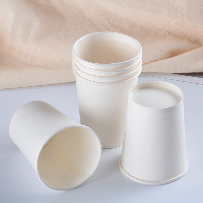 Các mẫu ly giấy thường dùng tại văn phòng