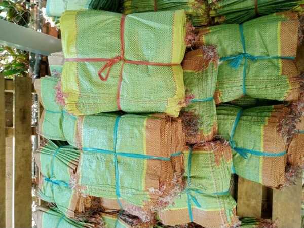 mua bao gạo số lượng lớn