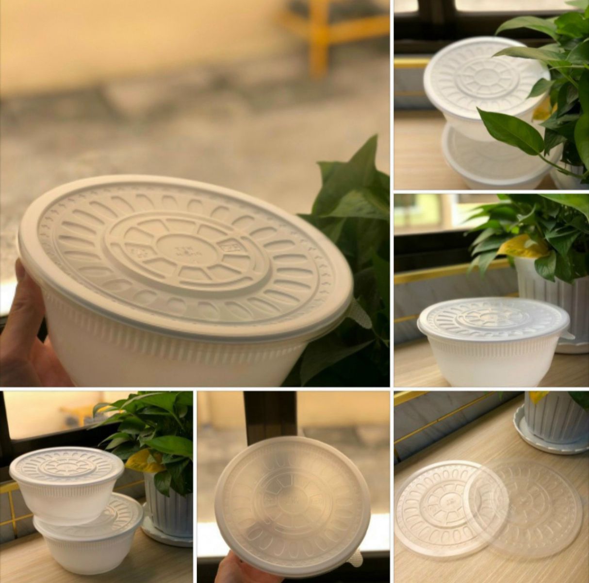 sản xuất và phân phối tô chén dĩa nhựa